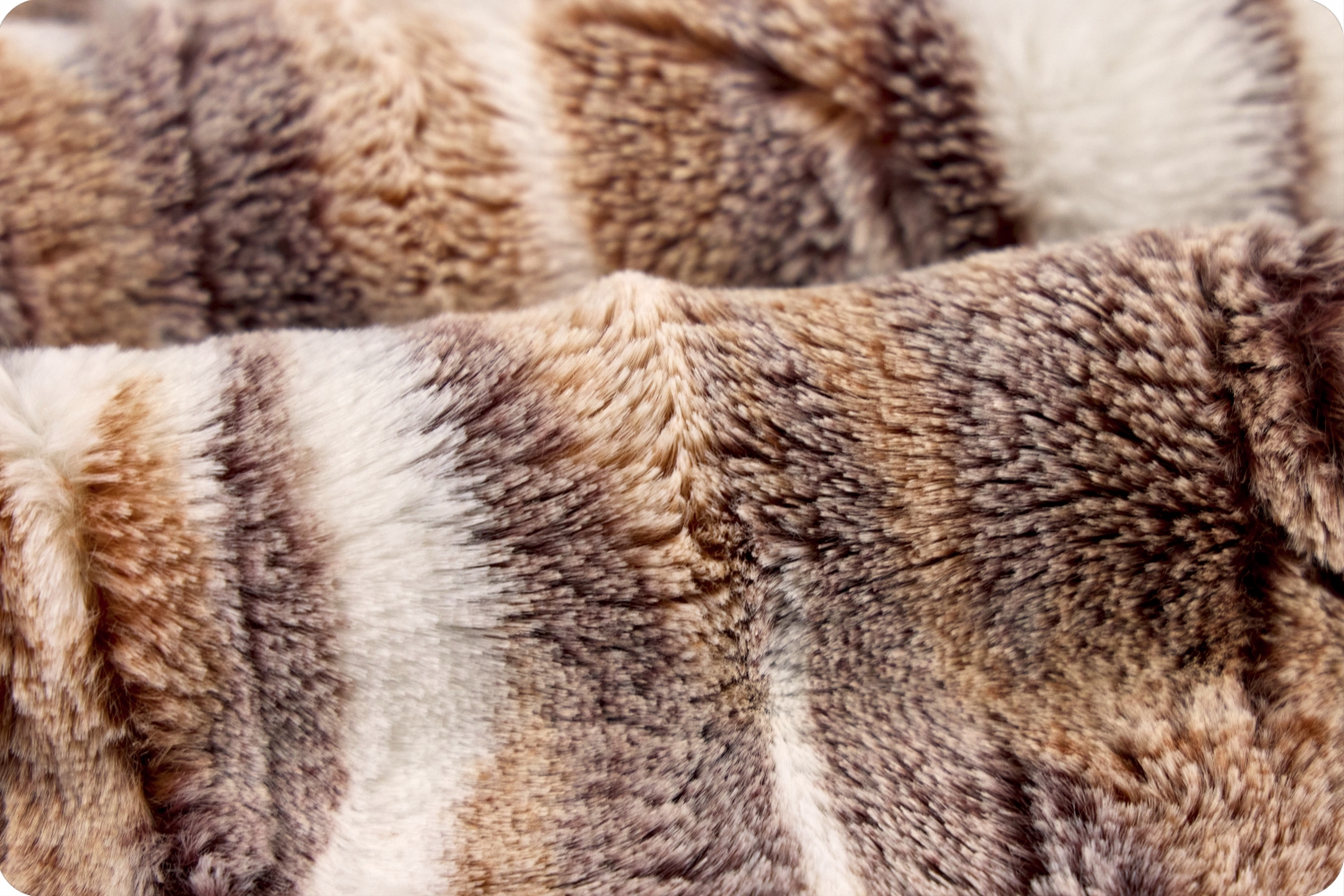 Luxe Cuddle®Frosted Himalayan Autumn