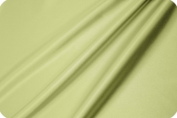 Silky Satin Solid Apple Green 829