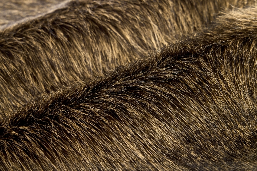 Canadian Wolf Fur Brown/black