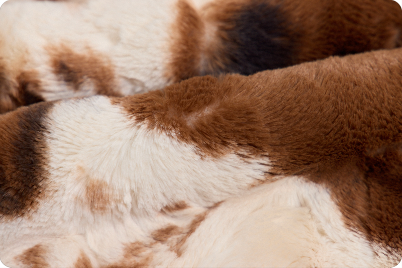 Luxe Cuddle® Wild Pony Ivory/Brown